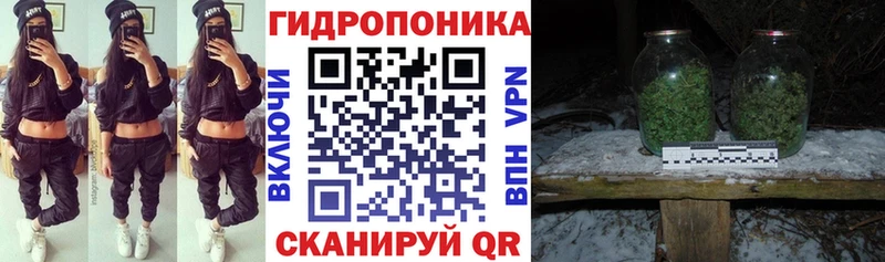 даркнет Telegram Чердынь Канабис ГИДРОПОН